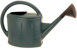 Watering can plastic garden accessory 11 liters green with spray head