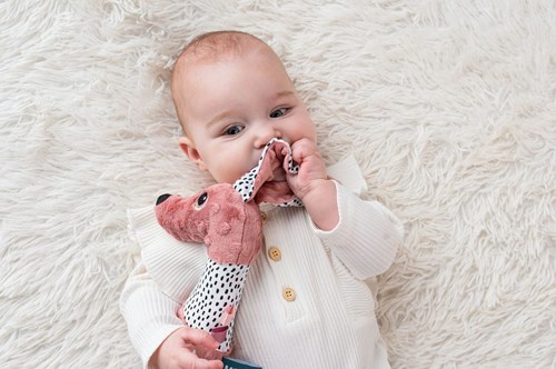 Mom's Care baby teething toy Jami dog pink with rattle and tags-2