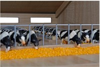 Kids GLOBE farm cows black and white 1:32 toy animal set-3