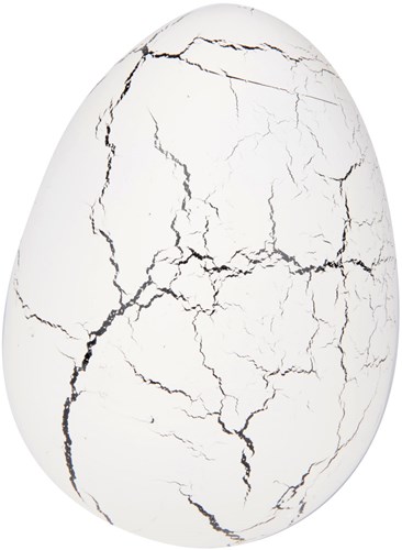Johntoy Mega growing dinosaur toy egg - surprise dino-2