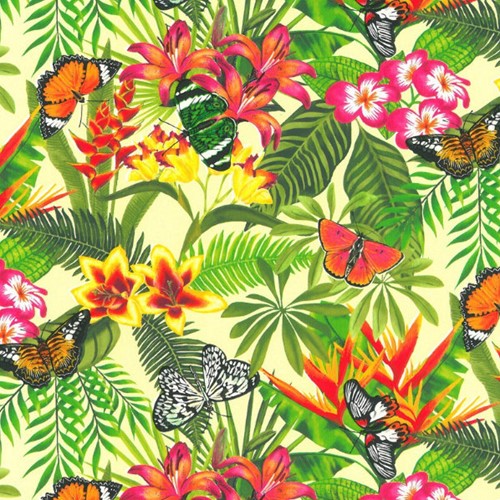 Design 807 exclusive 50cm x 200m