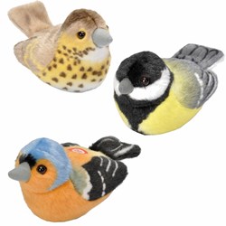 Bird Soft Toys