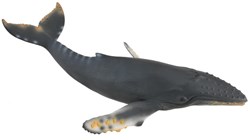 COLLECTA Humpback Whale - (XL)