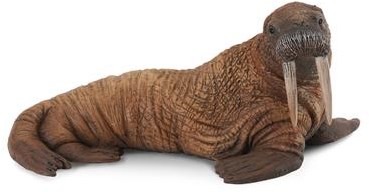 COLLECTA Walrus - (L)-2