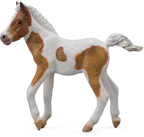 Collecta horses Dartmoor Hill foal play figure - M - realistic-2