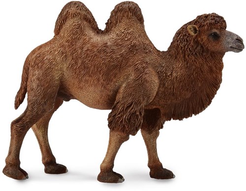 COLLECTA Camel - (L)-2