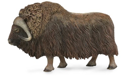 COLLECTA Musk Ox - (L)