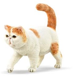 Collecta Exotic Shorthair play figure - cat toy white orange