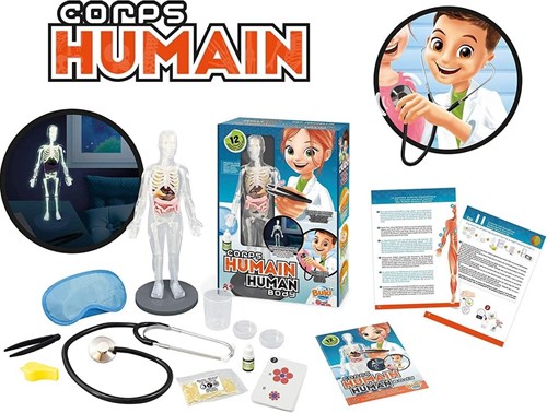 Buki human body educational toy anatomy experiment kit-2