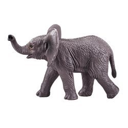 Mojo Wildlife