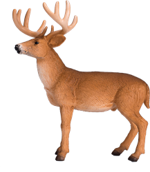 Mojo Woodland toy White-tailed Deer Buck - 387038