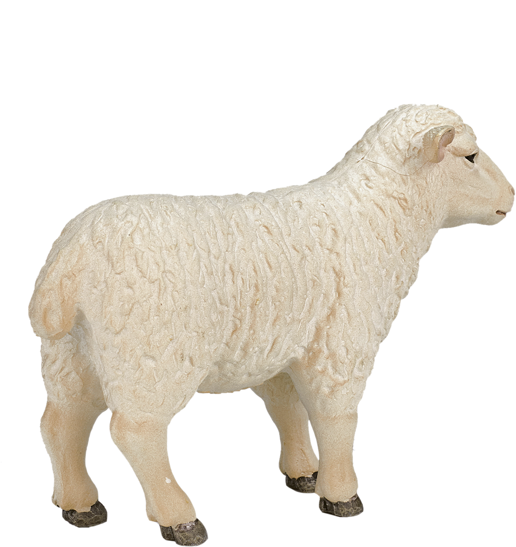 【中古】 Little Grey Sheep $_12.JPG?set_id=880000500F