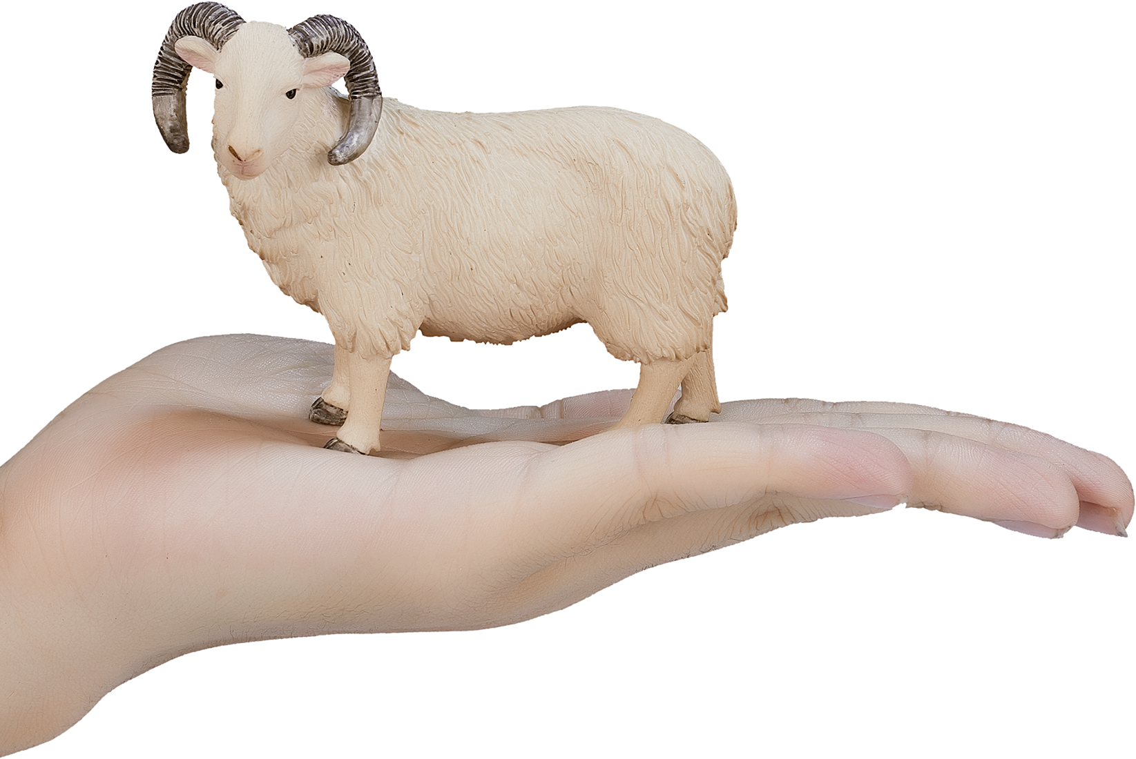 Mojo Farm toy Sheep (Aries) - 387097