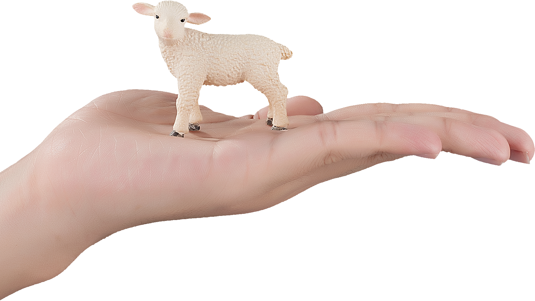 CollectA Llama