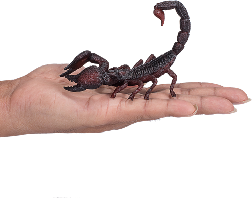 Mojo Wildlife toy Emperor Scorpion - 387133-3