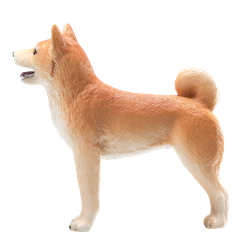 Mojo Pets