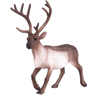 Mojo Woodland - Reindeer 387186