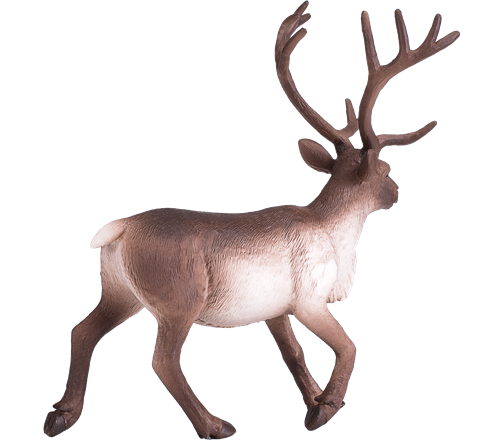 Mojo Woodland - Reindeer 387186