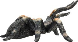 Mojo Wildlife toy Red-knee tarantula - 387213