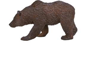 Nuova Ordinanza Contro L'orsa KJ1: Animalisti Annunciano Battaglia