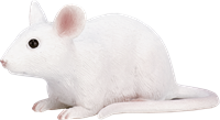 Mojo Pets speelgoed Muis - 387235