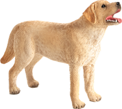 Mojo Pets toy Labrador - 387271