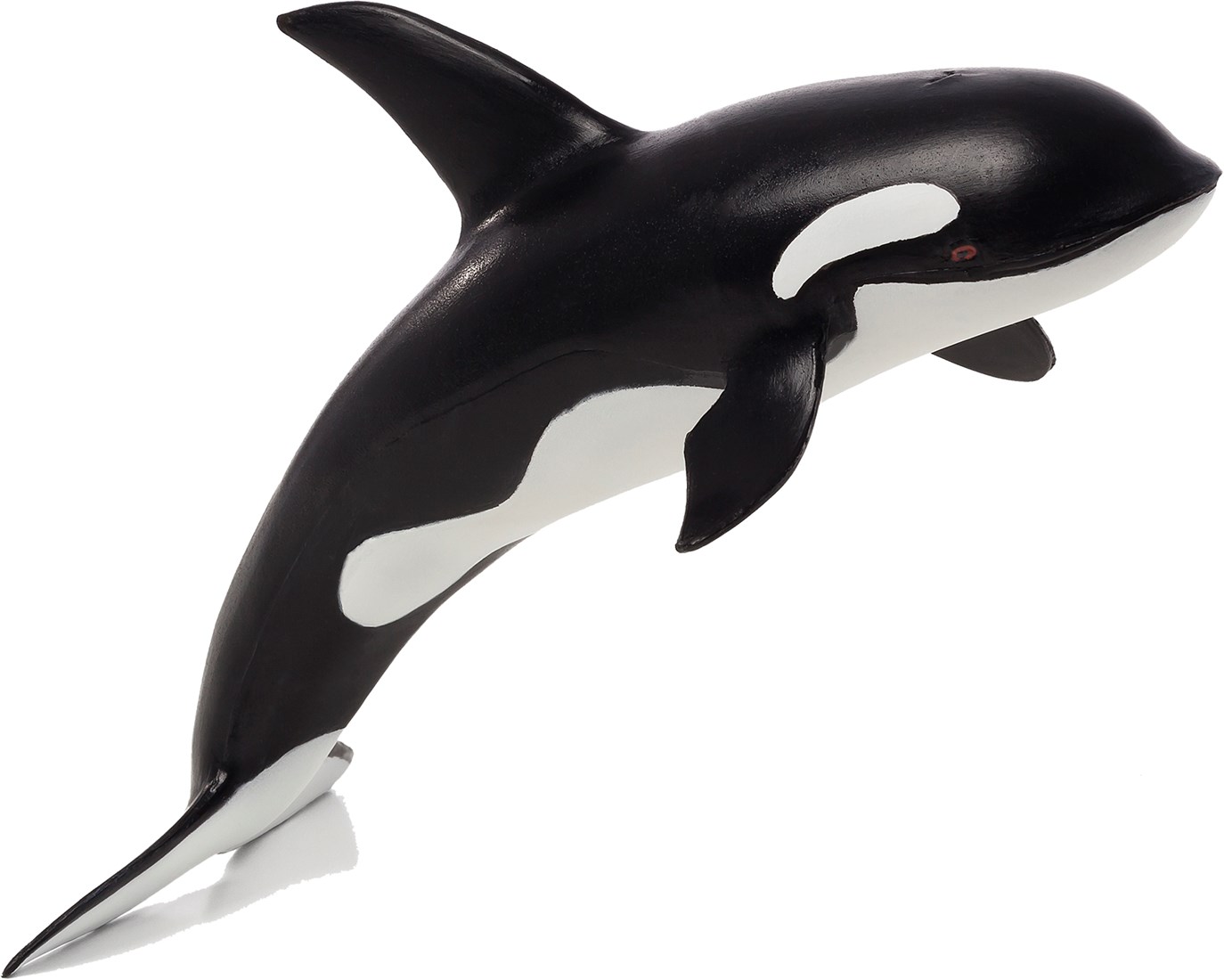 ID-CREW製 シャチ/orcaの陶器製オブジェ Mojo Sealife toy Orca Large - 387276