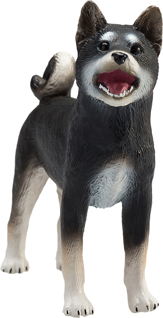 Toy shiba hotsell