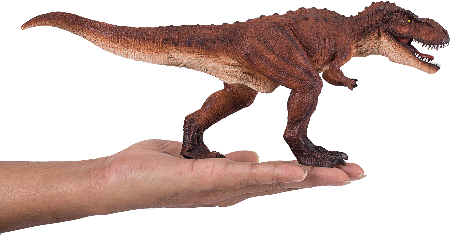 T-Rex - Møller II