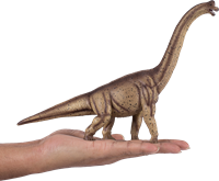 Mojo toy dinosaur Deluxe Brachiosaurus - 387381-3
