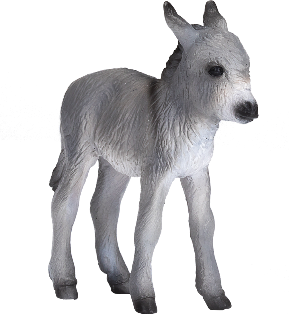 Ostheimer donkey deals