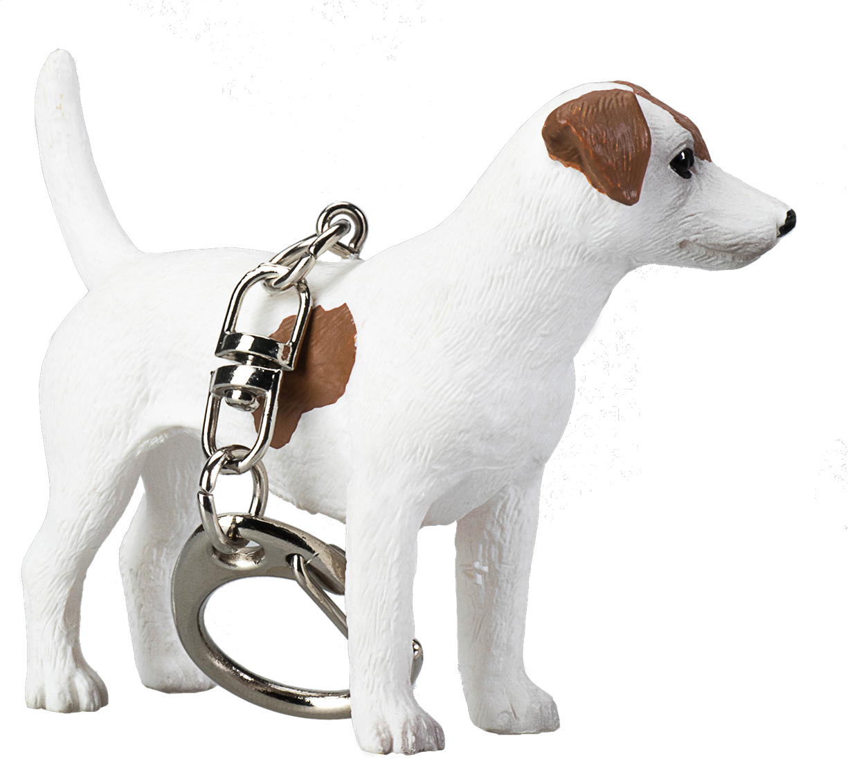 Jack sales dog farm