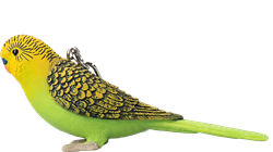 Mojo Farm & Pets Keychain Budgerigar Green - 387460
