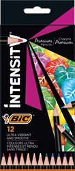 BIC colored pencils Intensity premium case 12 colors for kids