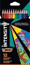 BIC coloured pencils set - 12 pieces - triangular grip - extra strong