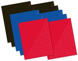 10 notebooks 80 pages diamond 10mm A5 basic