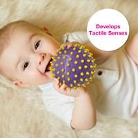 Edushape The Original Sensory Balls Color Dots - 10 cm Set of 4-3