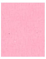 Folia craft cardboard photo board rose 50x70cm 300gsm pack of 25