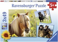 Ravensburger puzzle ponies kids puzzle 3x49 pieces horses