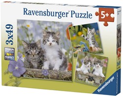 Ravensburger cat jigsaw puzzle - 3x49 pieces - children's animal puzzle