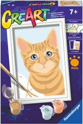 CreArt Schilderen op Nummer - Oranje Tabby