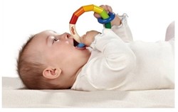 HABA Grasping Thing Rings