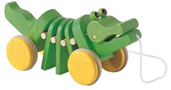 Push & Pull Toys