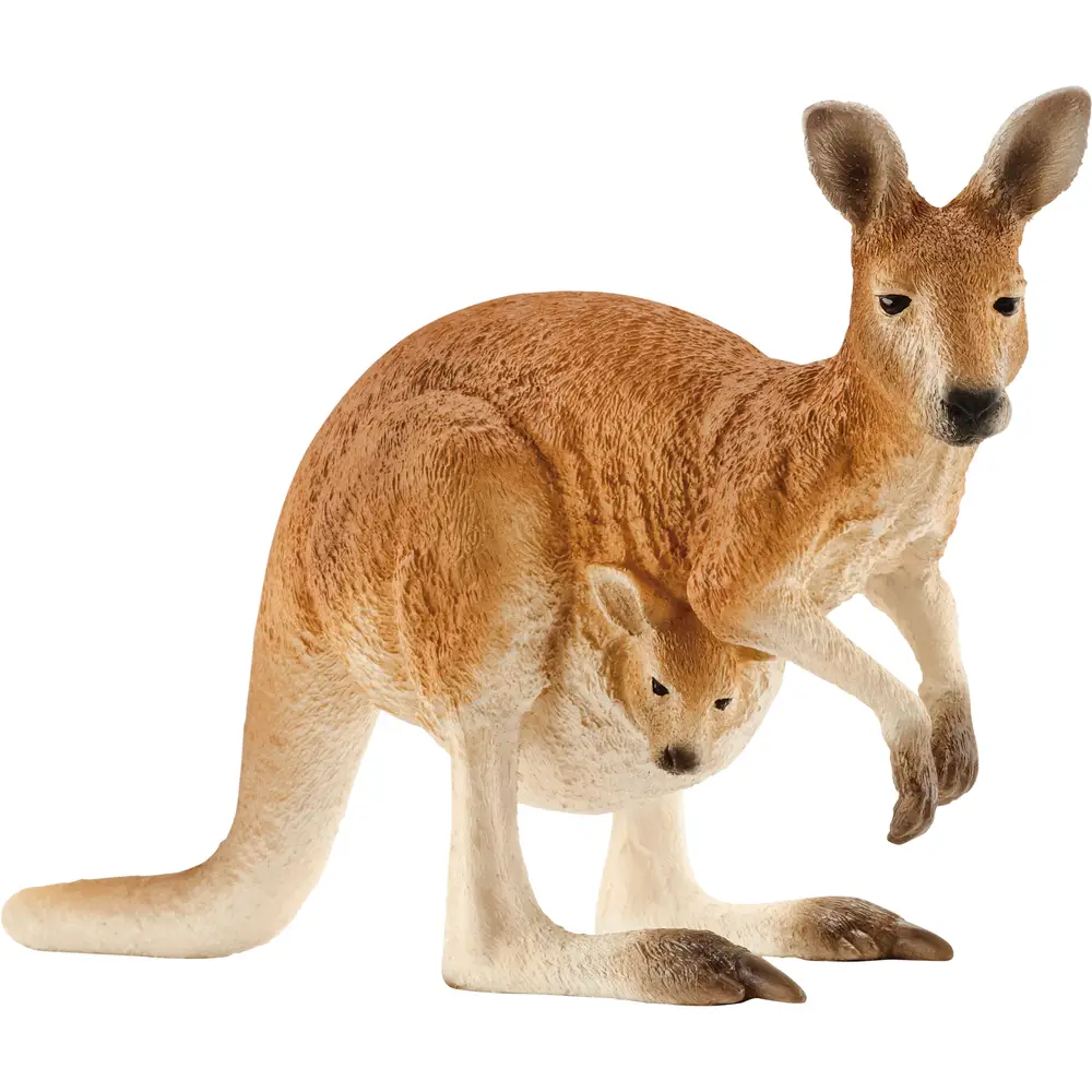 Schleich Safari - Kangaroo play figure Wild Life toy 14756
