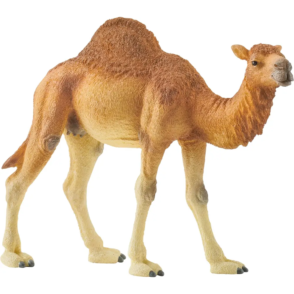 Schleich Safari - Dromedary play figure 14832 kids toy