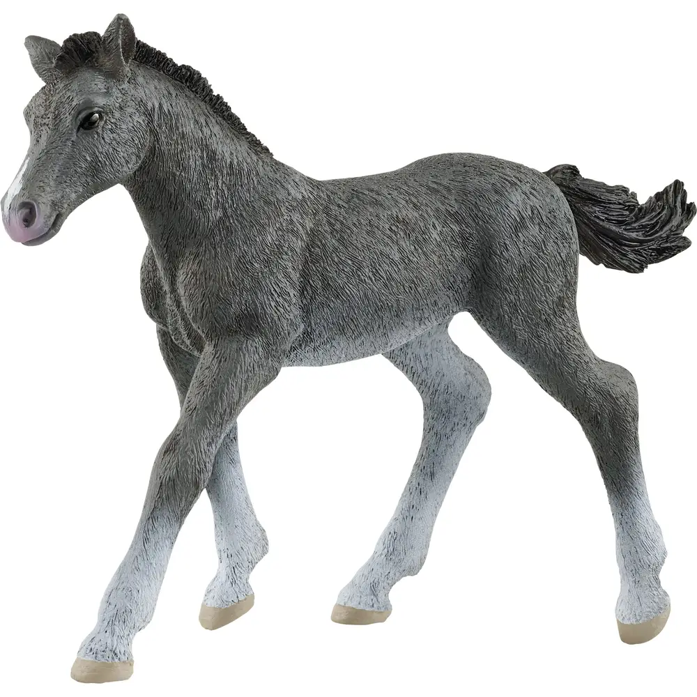 Schleich horse figure Trakehner foal - Horse Club - 13944 toy