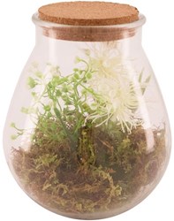 Artificial plant in glass vase - decoration natural green 19.5x23.5cm