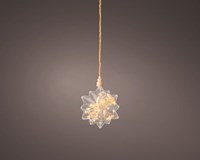 Lumineo LED star decoration with dried flowers and timer Ø 19cm warm light