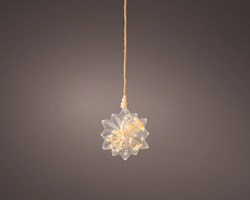 Lumineo LED star decoration with dried flowers and timer Ø 19cm warm light