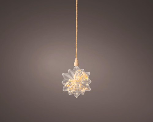 Lumineo LED star decoration with dried flowers and timer Ø 19cm warm light